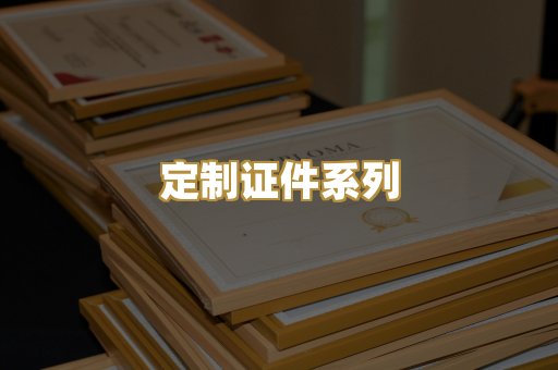 定制证件系列